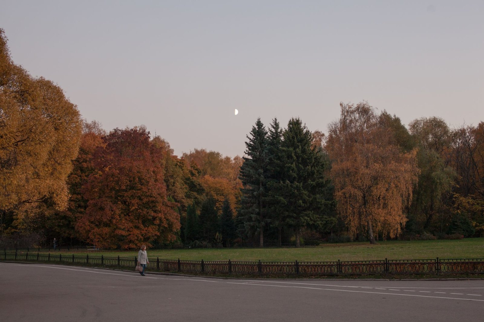 Осенняя палитра